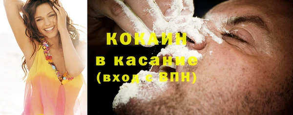 трава Белокуриха