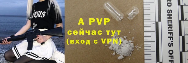 трава Белокуриха