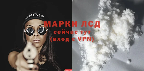 трава Белокуриха
