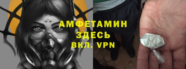 трава Белокуриха