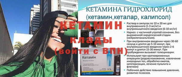 трава Белокуриха