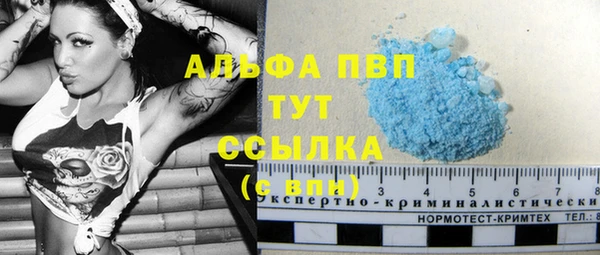трава Белокуриха