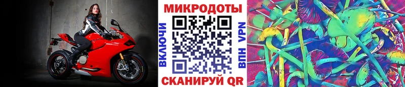 наркотики  Волгореченск  Псилоцибиновые грибы MAGIC MUSHROOMS 