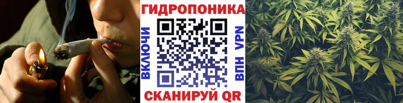 Шишки марихуана план  Волгореченск 